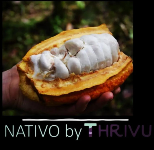CACAO FINO DE AROMA (Fine Aromatic Cacao)