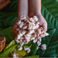 THRIVU, 100% Cacao